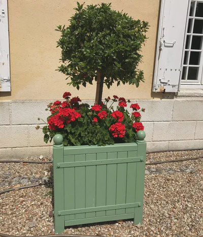 What are they used for?